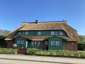 Ferienwohnung Nr 10 OG Spitzboden, Born Am Darß